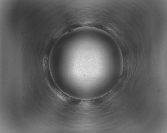 X0000070220280200605261326