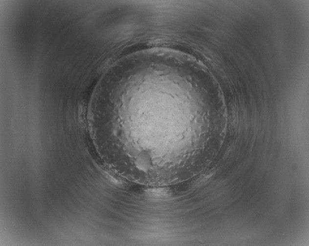 X0000070220281200605261326