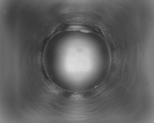 X0000070220283200605261326
