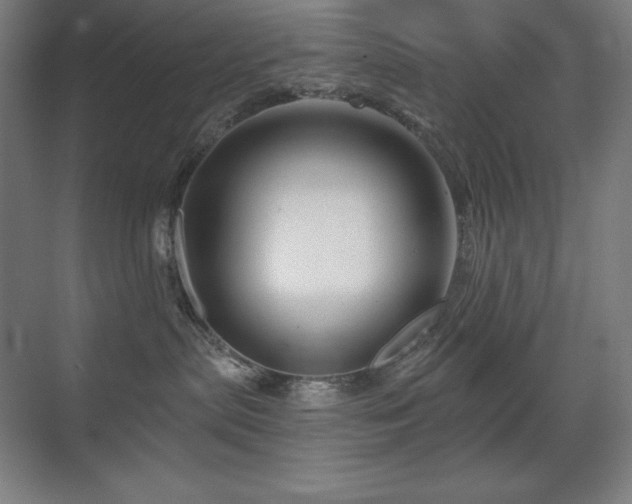 X0000070220287200605261326