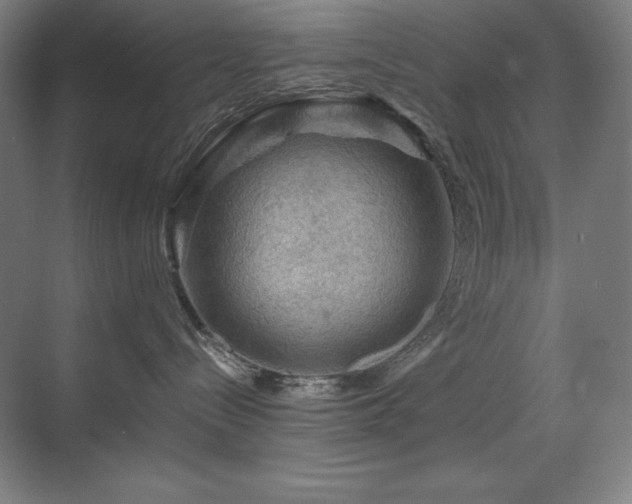 X0000070220288200605261326