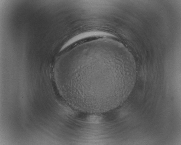 X0000070220319200605261325