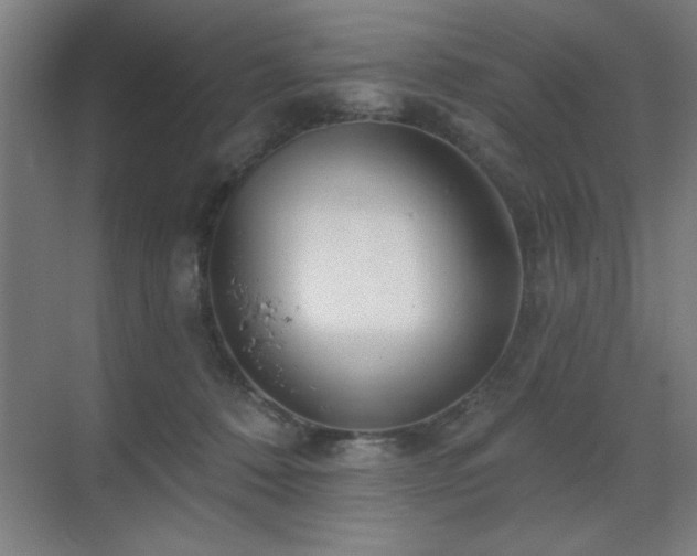 X0000070220320200605261324