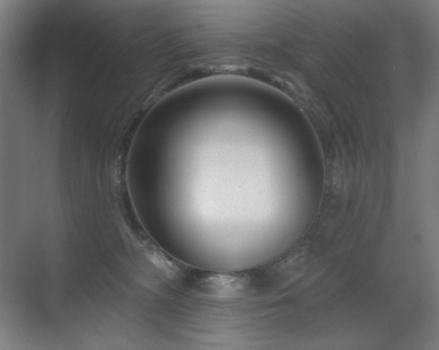X0000070220326200605261324