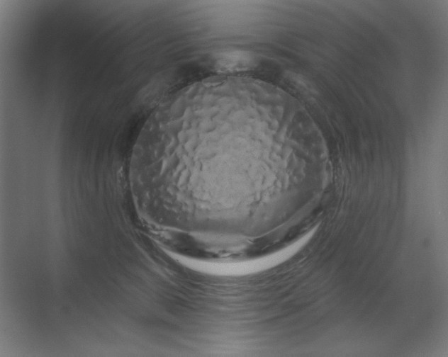X0000070220327200605261324