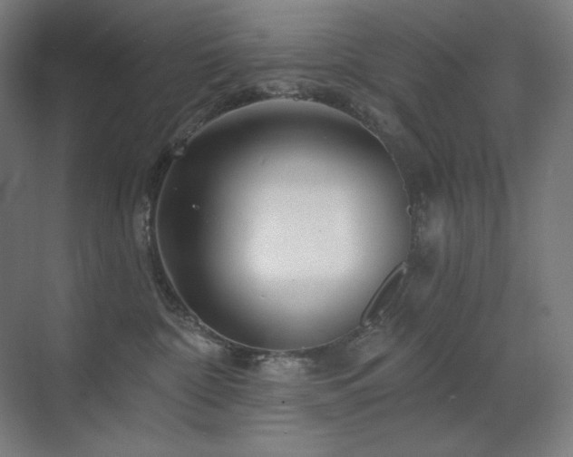X0000070220332200605261324
