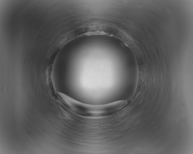 X0000070220333200605261324
