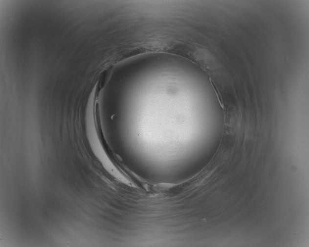X0000070220334200605261324