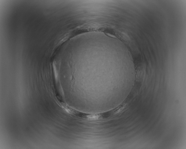 X0000070220335200605261324