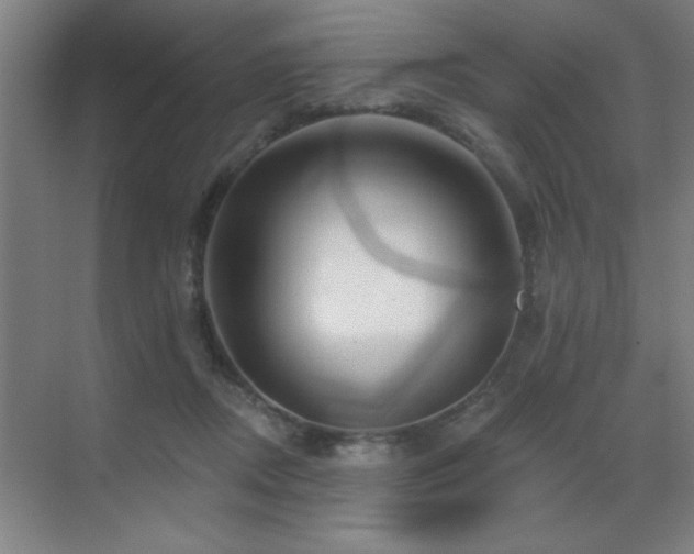 X0000070220362200605261324