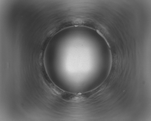 X0000070220364200605261324