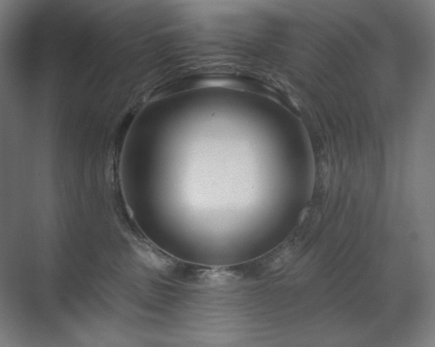 X0000070220379200605261324