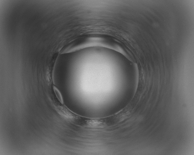 X0000070220380200605261324