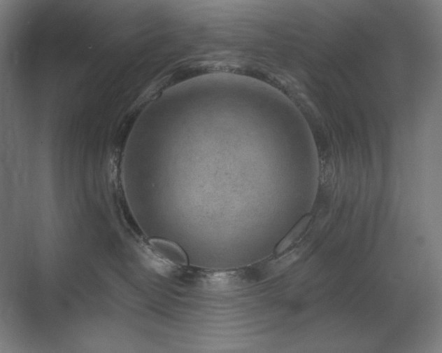 X0000070220382200605261324