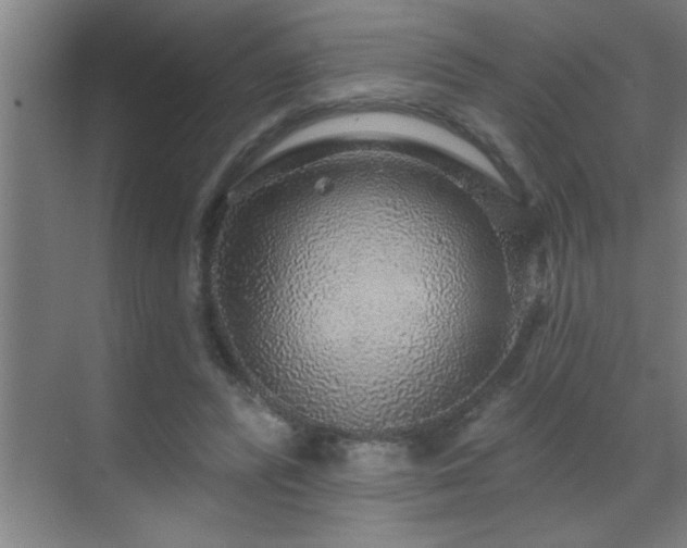 X0000070220400200605261323