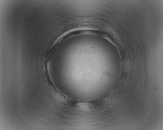 X0000070220417200605261323