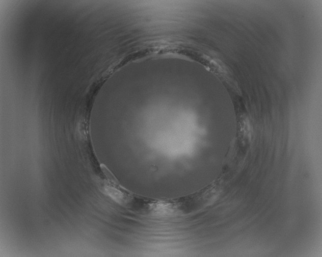 X0000070220419200605261323