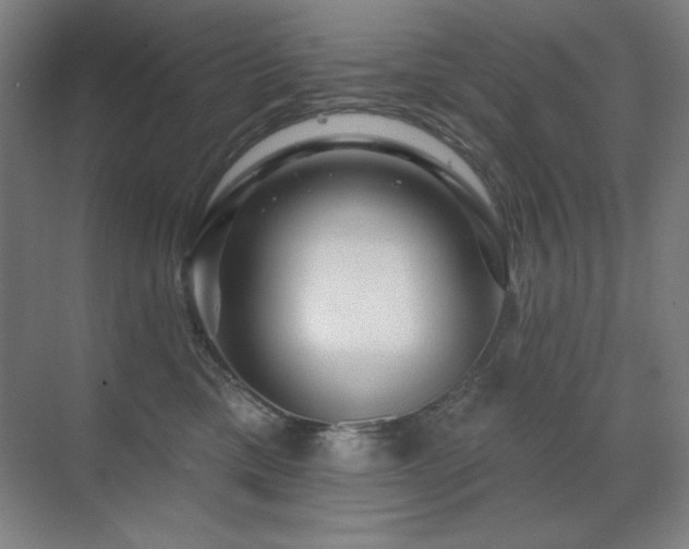 X0000070220425200605261323