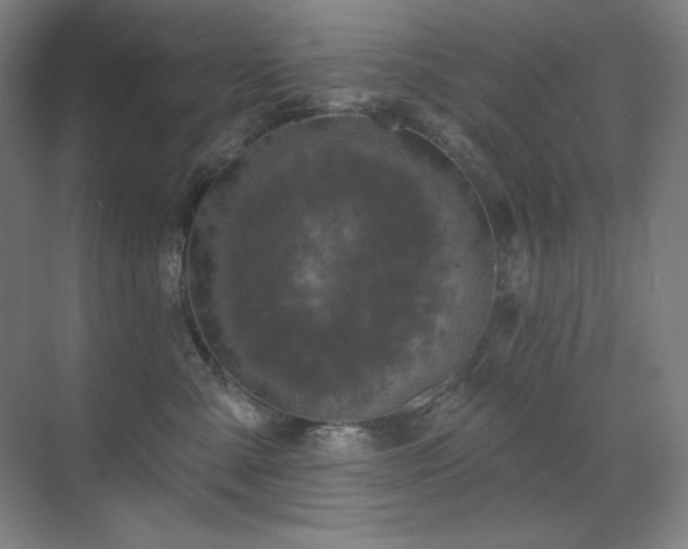 X0000070220427200605261323