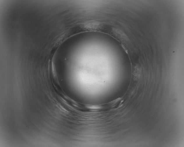 X0000070220428200605261323