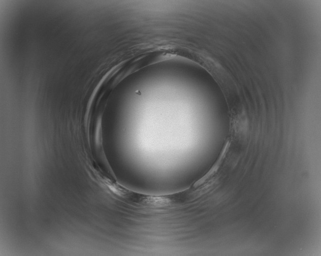 X0000070220429200605261323