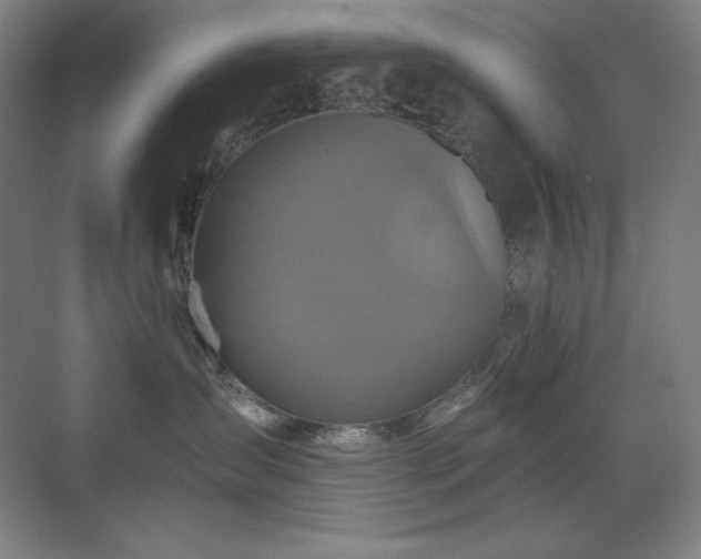 X0000070220431200605261323