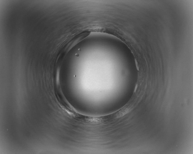 X0000070220432200605261323