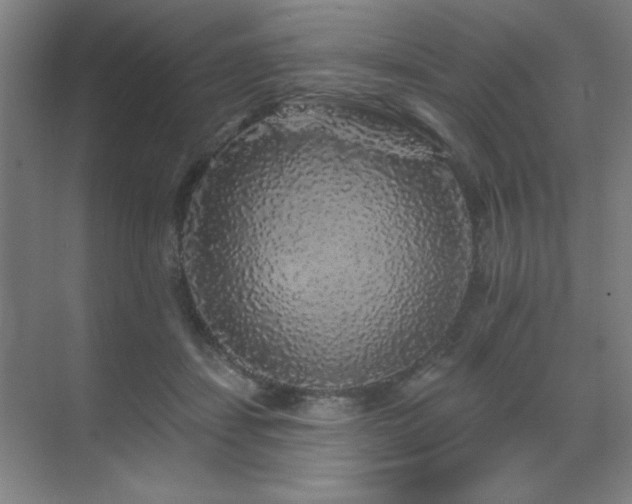 X0000070220459200605261322