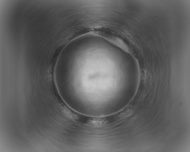 X0000070220466200605261322