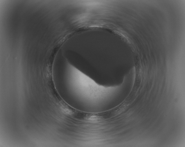 X0000070220467200605261322
