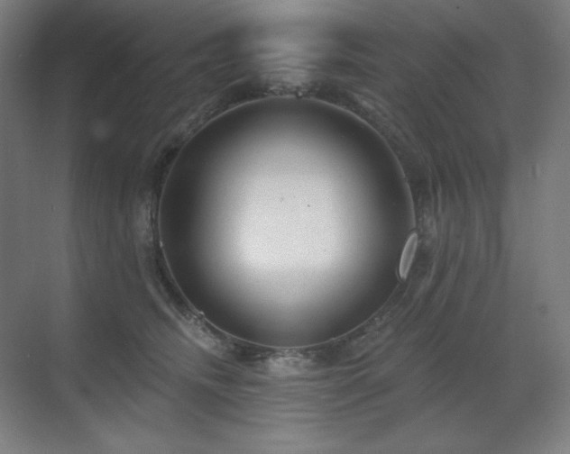X0000070220468200605261322