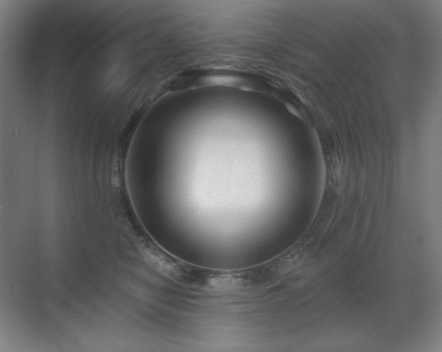 X0000070220470200605261322