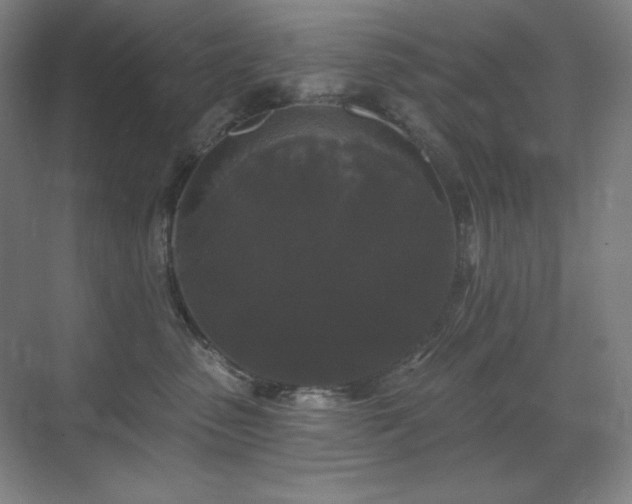 X0000070220475200605261322