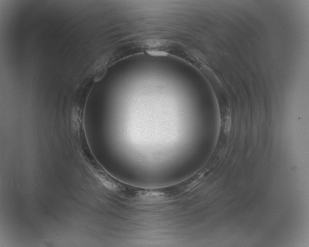 X0000070220476200605261323