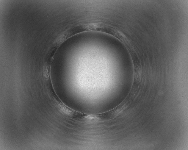 X0000070220477200605261323