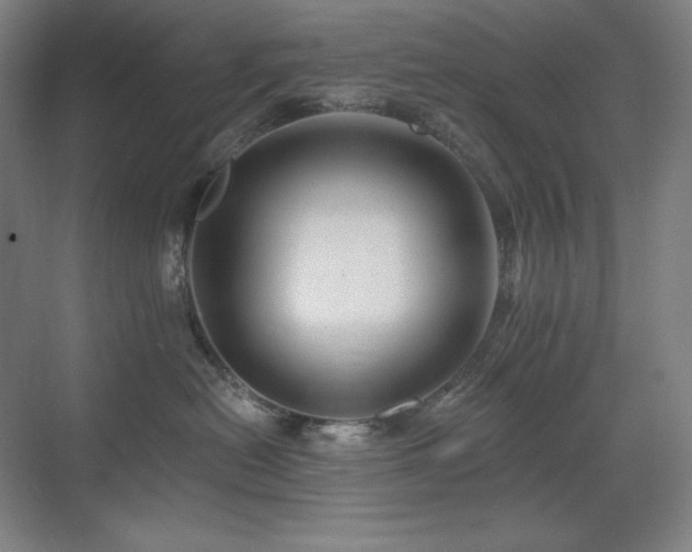 X0000070220478200605261323