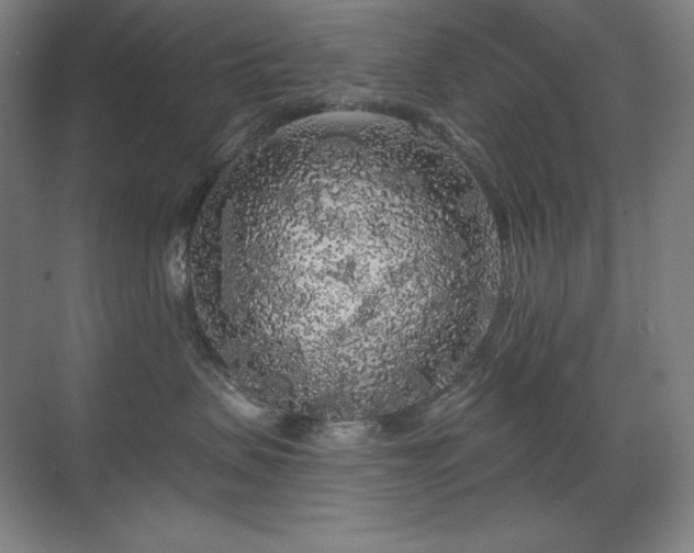 X0000070220479200605261323