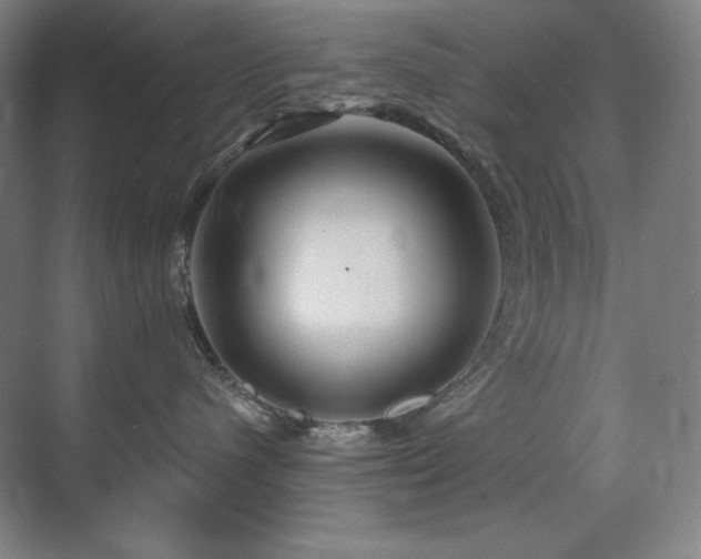 X0000070220480200605261323