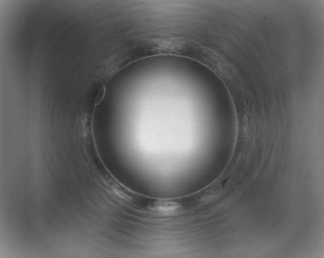 X0000070220514200605261321