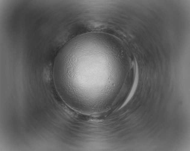 X0000070220515200605261321