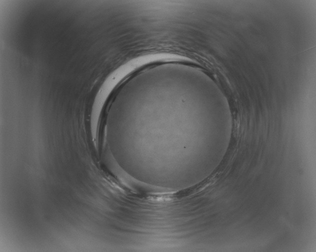 X0000070220520200605261321