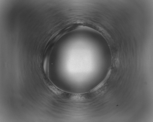 X0000070220521200605261321