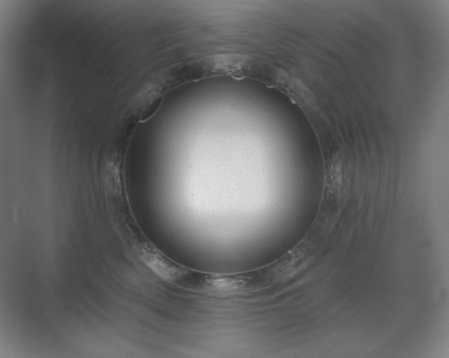 X0000070220522200605261321