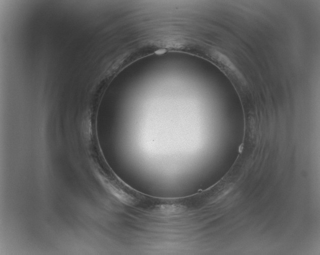 X0000070220541200605261320
