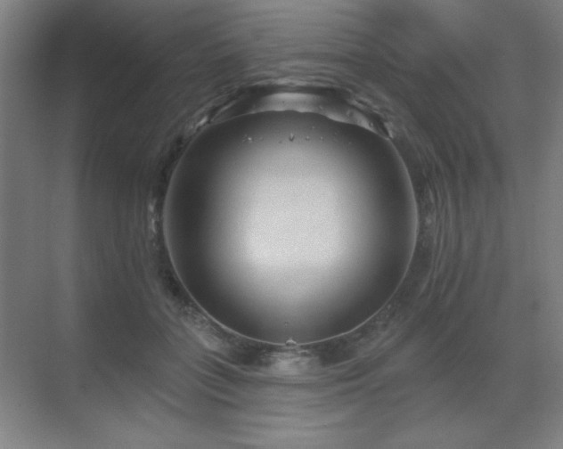 X0000070220555200605261321