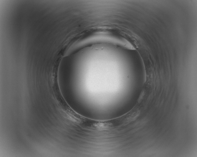 X0000070220558200605261321