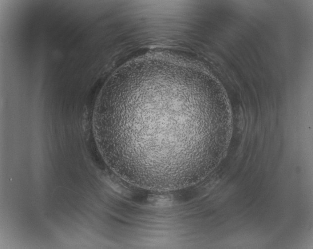 X0000070220559200605261321