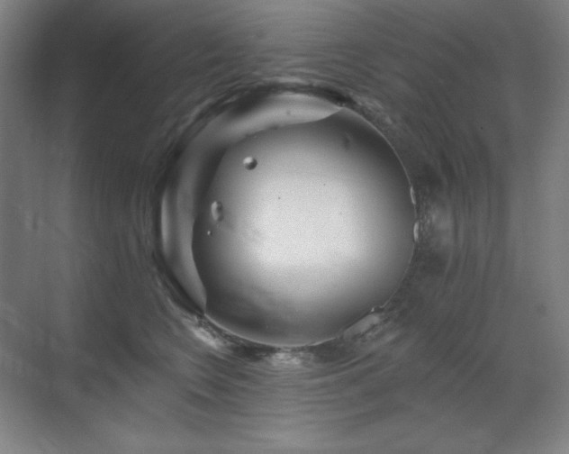 X0000070220566200605261321