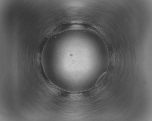 X0000070220571200605261321