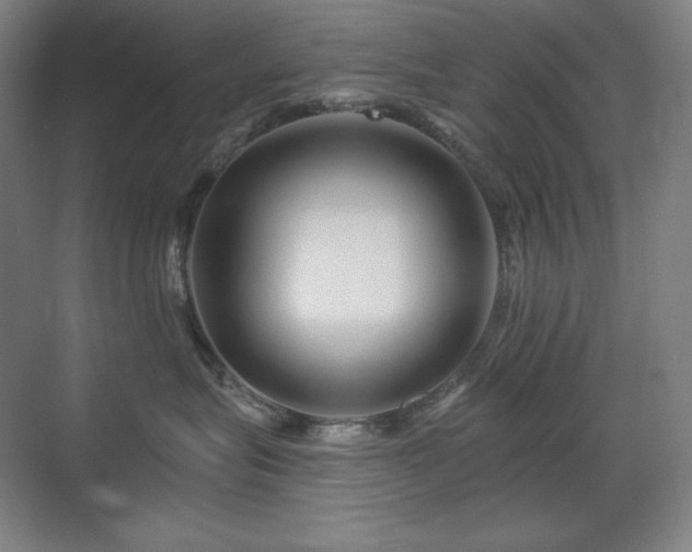 X0000070220575200605261321
